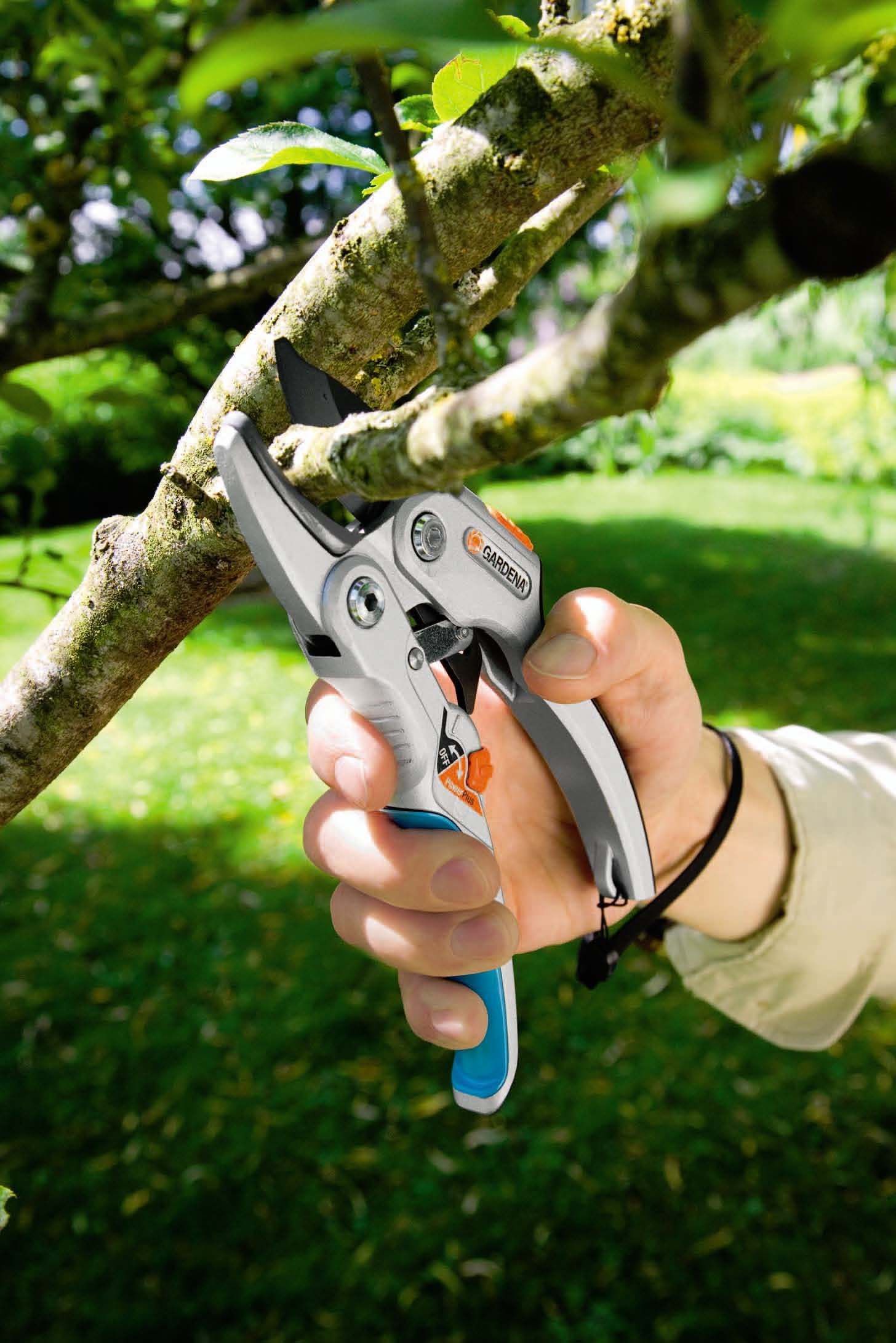 GARDENA (8798) SmartCut Ratchet Pruners: Heavy Duty Pruners with Anvil Cutting Edge for Thicker and Dry Wood up to 1" Diameter, Two Handle Positions, with Ratchet Mechanism and Aluminium Handles - Image 3