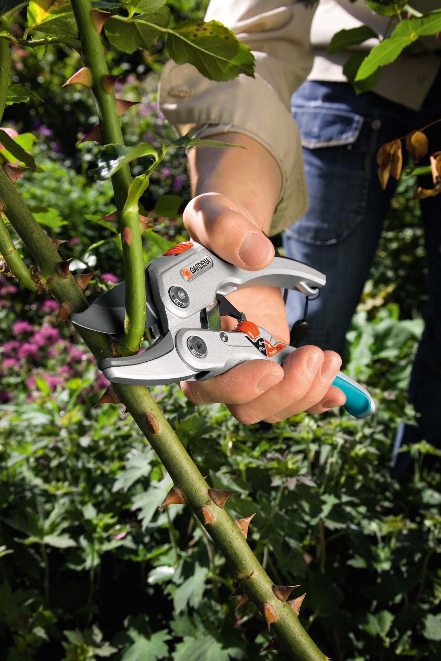 GARDENA (8798) SmartCut Ratchet Pruners: Heavy Duty Pruners with Anvil Cutting Edge for Thicker and Dry Wood up to 1" Diameter, Two Handle Positions, with Ratchet Mechanism and Aluminium Handles - Image 4