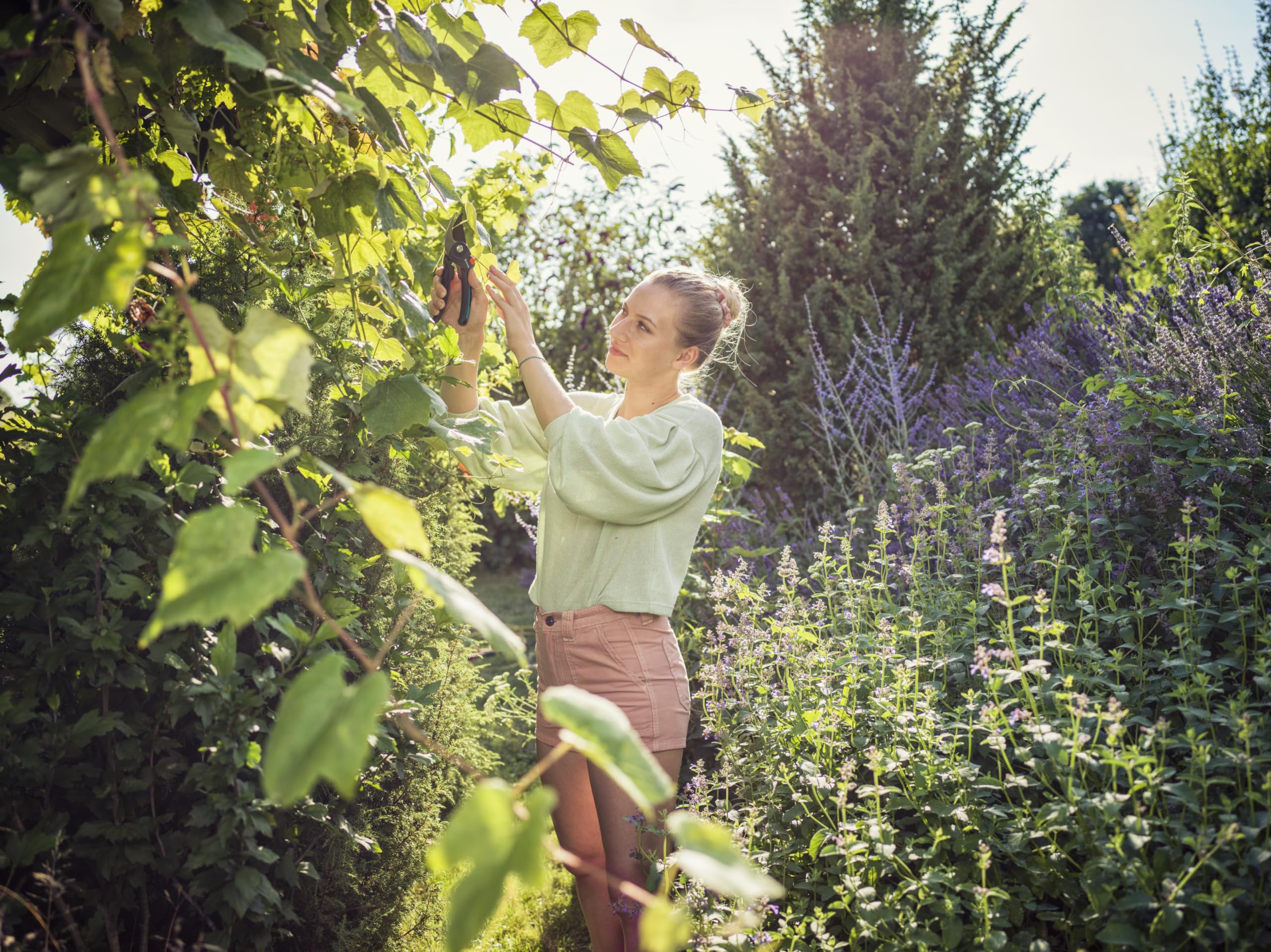 GARDENA (8904) Plant-Friendly Pruner with Bypass Cutting for Branches and Twigs, Max. Cutting Diameter 1", Integrated Spring in the Handle, Non-stick Upper Blade - Made in Germany - Image 4